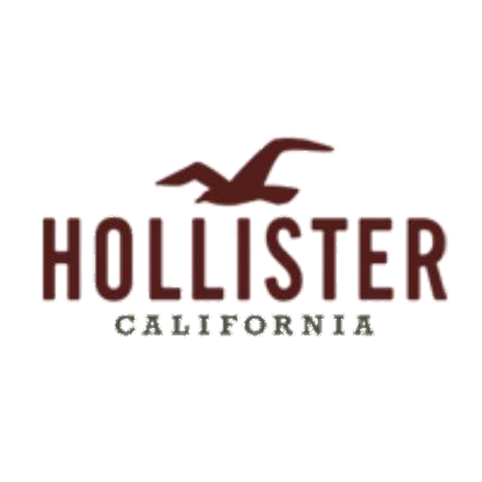 Hollister Co. rabattkoder